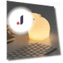 Night Light Lovely Bear — Night Lights, Explorer Outdoors