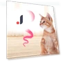 Electric Rolling Ball Toy for Cats — Cat Playthings, Pet Products My
