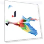 Electric Simulation Fake Parrot Toy — Interactive Animal Companions, Picture Hung