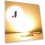 LED COB Lamp Bead — Outdoor Security & Flood Lighting, Uav parts center