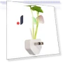 Floral Sensor LED Mushroom Night Light — Night Lights, DC-HOME