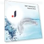 4-in-1 Teeth Whitening Kit with 16 LED Lights and Timer — Bright Smile Solutions, CloudWay