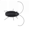 Educational Solar Powered Cockroach Robot Toy — Solar Power, Gouhuo