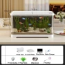 LED Illuminated Transparent Desktop Aquarium Set — Lights, CDxianshen