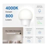 Превью Smart Light Bulbs - Natural Daylight, Dimmable, Compatible with Alexa and Google Home, A60 Bulb/E27 Base, 60W... — Smart Light Bulb, Tapo