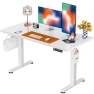 Превью Height Adjustable Electric Standing Desk — Workspace Solutions, ErGear
