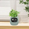 Smart Flower Pot with Robot Navigator — Vases, HappyToy