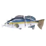 Robotic Fishing Lure — Artificial Bait, leayond