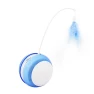 Electric Cat Toy Ball — Cat Playthings, Pet family bucket