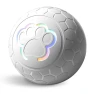 Smart LED Ball for Pets — Balls, VanSmaGo