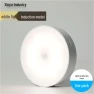 LED Night Light with Voice Control and Motion Sensor — Night Lights, AI Supermarket