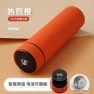 Smart Display Vacuum Insulated Stainless Steel Thermos — Thermoses, DC-HOME Textile