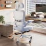 Превью Ergonomic Office Chair with Adjustable Headrest and Lumbar Support — Desk Chairs, TRALT