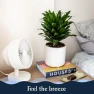 Превью Smart Fan – Ultra-Quiet 2-in-1 Air Circulator with Remote – 5-Speed Compact Cooling Fan – Whisper-Quiet - App Compatible... — Portable Cooling Solutions, Windmill
