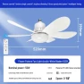 Ceiling Fan with LED Light — Ceiling Fans, HomeHarmony