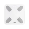 Smart Body Fat Scale — Body Composition Analysis, BERYL