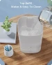 Превью Smart WiFi Cool Mist Humidifier with Diffuser and Night Light — Air Moisturizers, Esemoil