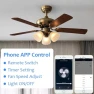 Превью WiFi Ceiling Fan and Light Remote Control Kit — Ceiling Fan Wall Controls, Aubric
