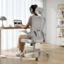 Превью Ergonomic Desk Chair with Flip-up Armrests — Desk Chairs, Synorla
