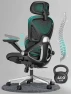 Превью Ergonomic Mesh Office Chair with Adjustable Lumbar Support and Flip-up Arms — Desk Chairs, CAPOT
