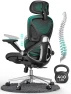 Превью Ergonomic Mesh Office Chair — Desk Chairs, CAPOT