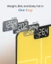 Превью Smart Body Fat Scale with Light — Weight Management Tools, RENPHO