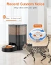 Превью Automatic Cat Feeder for Two Cats — Automatic Feeders, HoneyGuaridan