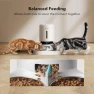 Превью Automatic Cat Feeder with Camera — Automatic Feeders, PETLIBRO