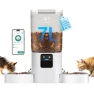 Превью Automatic Pet Feeder with Dual Bowls and Slow Feed — Automatic Feeders, Frienhund