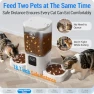 Превью Automatic Pet Feeder with Dual Bowls and Slow Feed — Automatic Feeders, Frienhund
