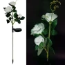 LED Rose Flower Lamp — Outdoor String Lights, Smart Mouse