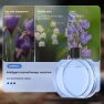 Smart Aromatherapy Machine — Diffusers, Aura Living