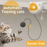 Telescopic Electric Cat Toy with Rising Ball — Cat Playthings, FurryFriends Store