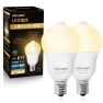 LED Light Bulb with Motion Sensor — Incandescent, DiCUNO