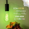 Превью Color Changing WiFi Smart Light Bulb — Incandescent, DiCUNO