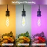 Превью Color Changing WiFi Smart Light Bulb — Incandescent, DiCUNO