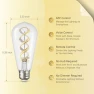 Превью Color Changing WiFi Smart Light Bulb — Incandescent, DiCUNO