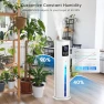Превью Large Room Smart Humidifier with Diffuser and Ambient Lights — Air Moisturizers, Hiswelle