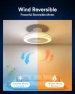 Превью Smart WiFi & Bluetooth Ceiling Fan with RGBAI Light — Ceiling Fans, Lumary
