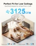 Превью Smart WiFi Ceiling Fan with Lights — Ceiling Fans, Lumary