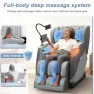 Превью Full Body Massage Chair — Lift Chairs, Srfzluxy
