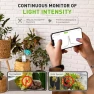 Превью 3-in-1 APP Remote Monitoring WiFi Soil Moisture Meter for Plants Indoor/Outdoor — Hygrometers, RainPoint