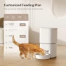 Превью Automatic Cat Feeder — Automatic Feeders, DUDUPET