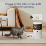 Превью Automatic Pet Feeder with Voice Recorder — Automatic Feeders, ANDOLL HOME