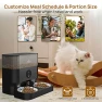 Превью Automatic WiFi Pet Feeder for 2 Pets — Automatic Feeders, iPettie