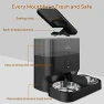 Превью Automatic WiFi Pet Feeder for 2 Pets — Automatic Feeders, iPettie