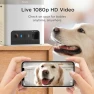 Превью Interactive WiFi Pet Monitoring Camera with Treat Dispenser — Cameras & Monitors, Petcube