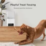 Превью Interactive WiFi Pet Monitoring Camera with Treat Dispenser — Cameras & Monitors, Petcube