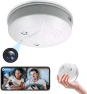 Превью Hidden Camera Smoke Detector HD 1080P Wireless Spy Camera — Outdoor Security Cameras, DAIFAC