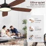 Превью Smart Ceiling Fan with Light — Ceiling Fans & Accessories, Roomratv